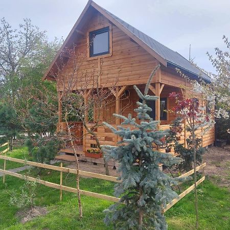 Domek Pod Sumakiem Pszczolki Ngoại thất bức ảnh